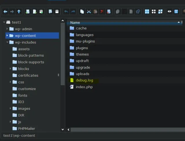 Debug.log in wp content folder