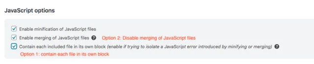 Minify js options