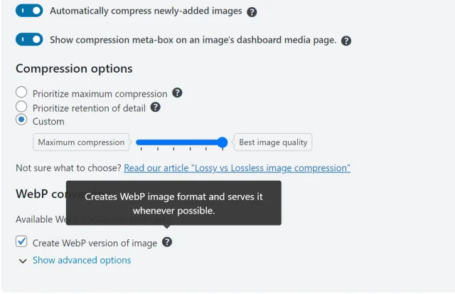 Webp function in WP-Optimize