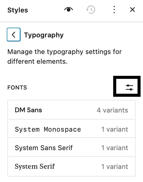 WordPress 6.5 font options screenshot